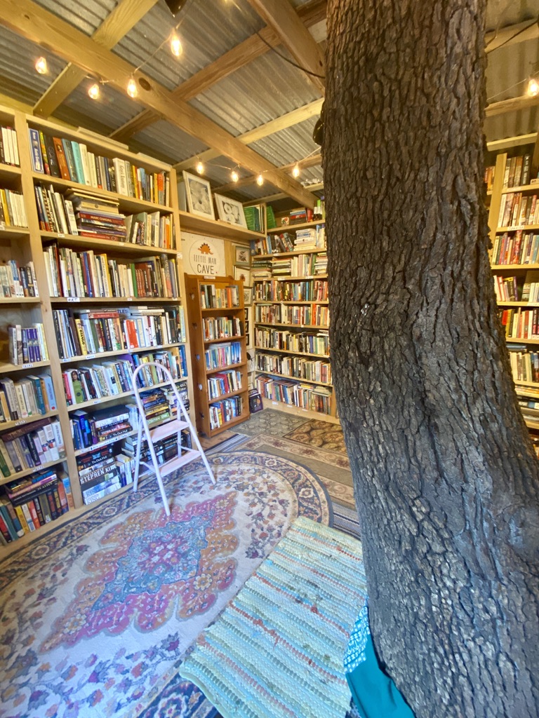 Cozy bookshop interior built around a large tree trunk, with floor-to-ceiling shelves of books, string lights, and patterned rugs on the floor at Market Days book shop in Wimberley Texas