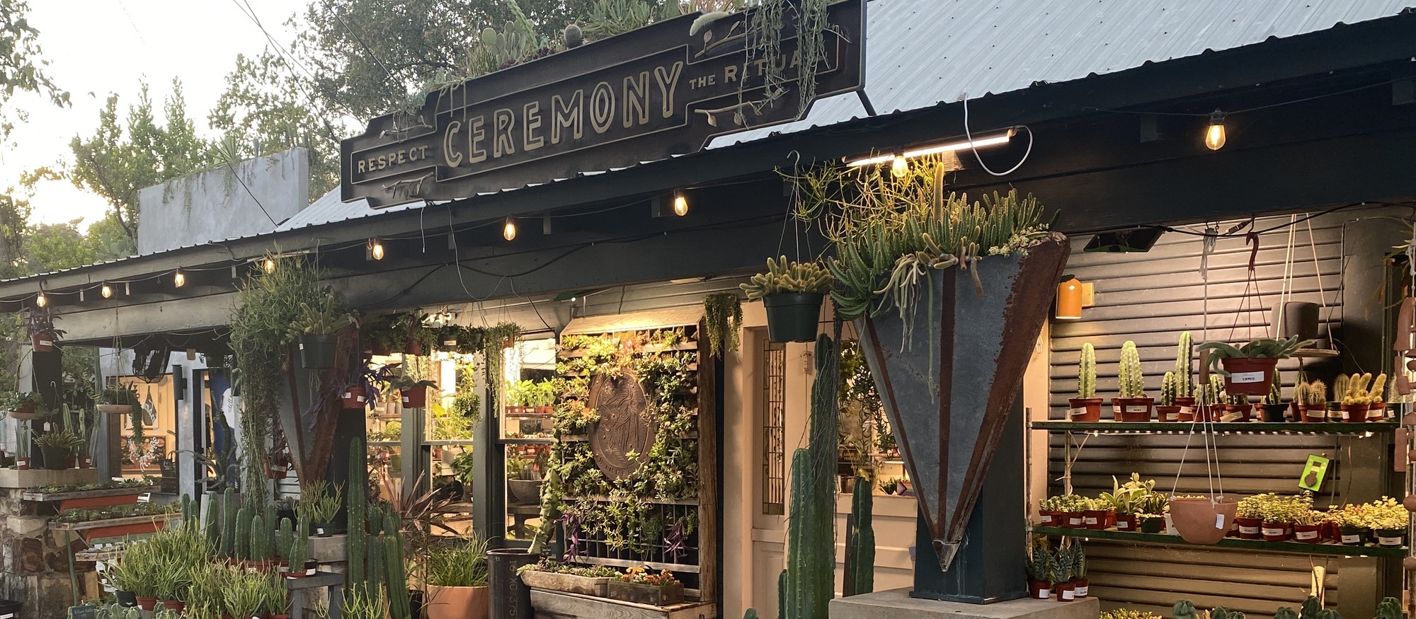 Potted cacti and succulents outside the Ceremony Botanical storefront.